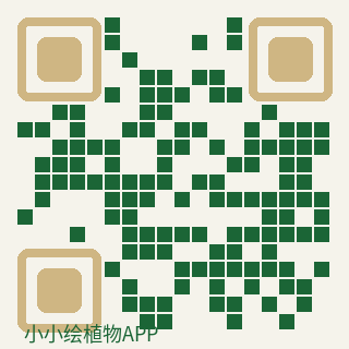 小小绘